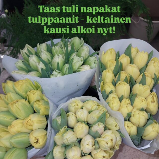 Kukkakaupalta näitä saa!  Ruukkutarjontaa tuli myös tänään lisää: ensimmäiset orvokit, keltaiset hyasintit, Tete-vadit sekä valkoiset ja aprikoosinväriset narsissit! Tervetuloa!