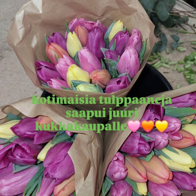 Kotimaisia tulppaaneja saapui juuri kukkakaupalle🩷🧡💛