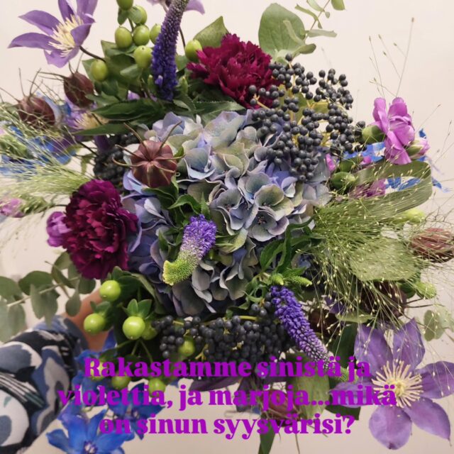 Rakastamme sinistä ja violettia, ja marjoja...mikä on sinun syysvärisi?