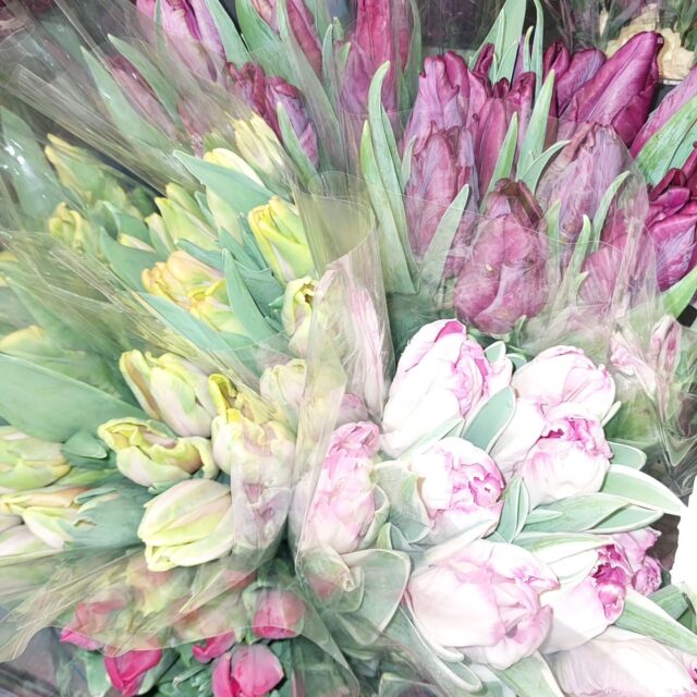 Valikoima naistenpäivätervehdyksiin nyt parhaimmillaan, tervetuloa!