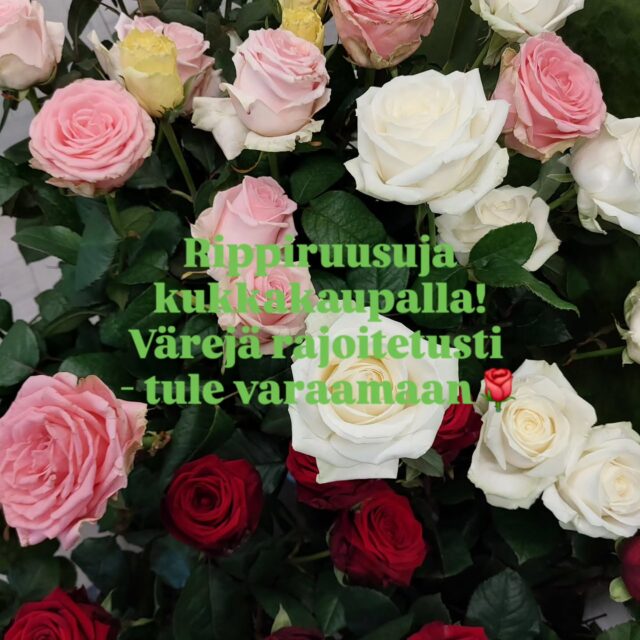 Varatut ruusut voi noutaa sunnuntaina itsepalvelusta klo 7 jälkeen.