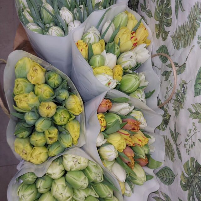 Tuoreet tulppaanit tulivat juuri, ja paljon muuta iloiseen pääsiäiseen. Tervetuloa Kukkakaupalle!
Olemme avoinna Kiirastorstaina klo 9 - 17 ja lankalauantaina klo 9 -13🌼🌿