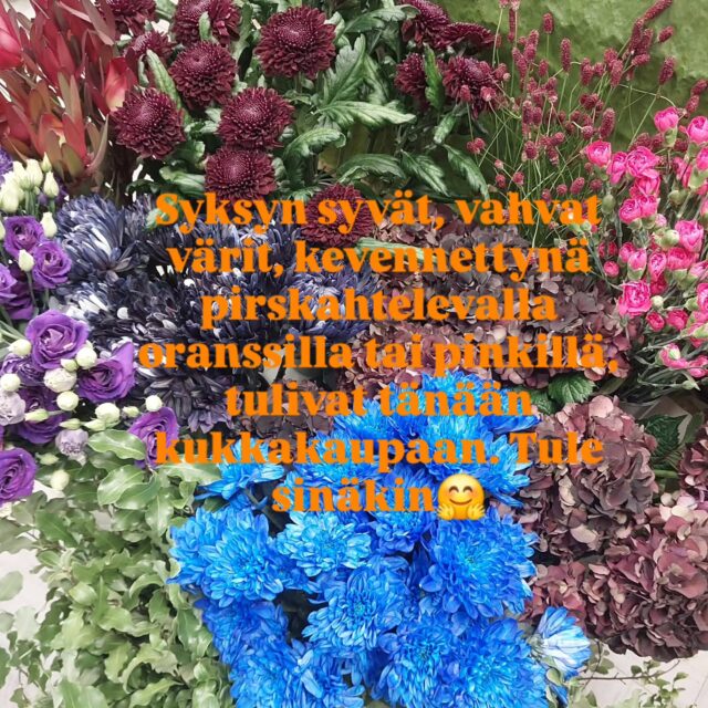 Pyhäinpäivän 1.11. olemme suljettuna, mutta huomisen perjantain vielä avoinna. Viikonloppuna itsepalvelumyymälämme on avoinna klo 7 - 20.